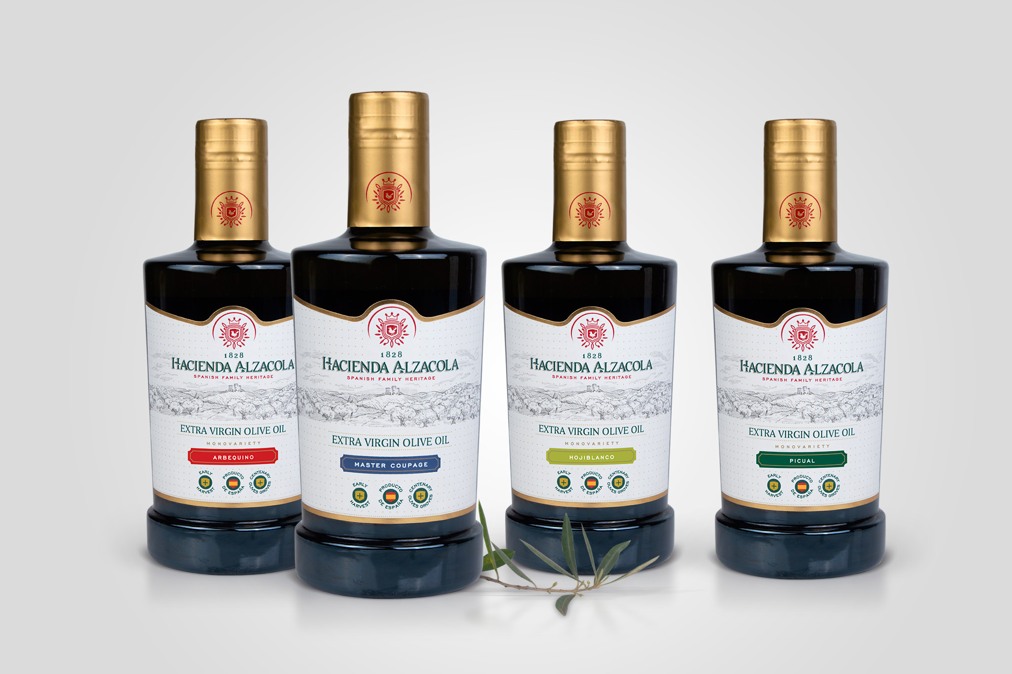 Diseño de branding y packaging para aceite cordoba. Diseñadores de branding y packaging Cordoba diseno_etiquetas_aceite_oliva_Hacienda_Alzacola
