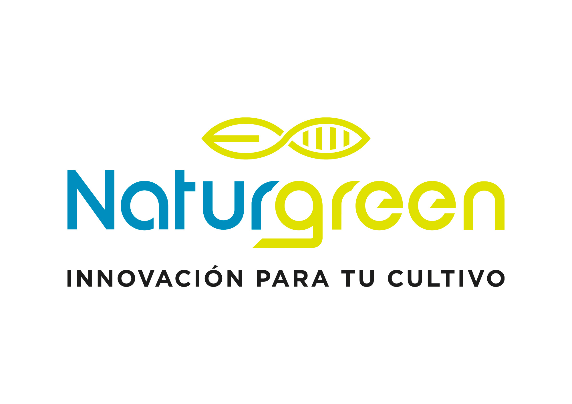 siguiente proyectos