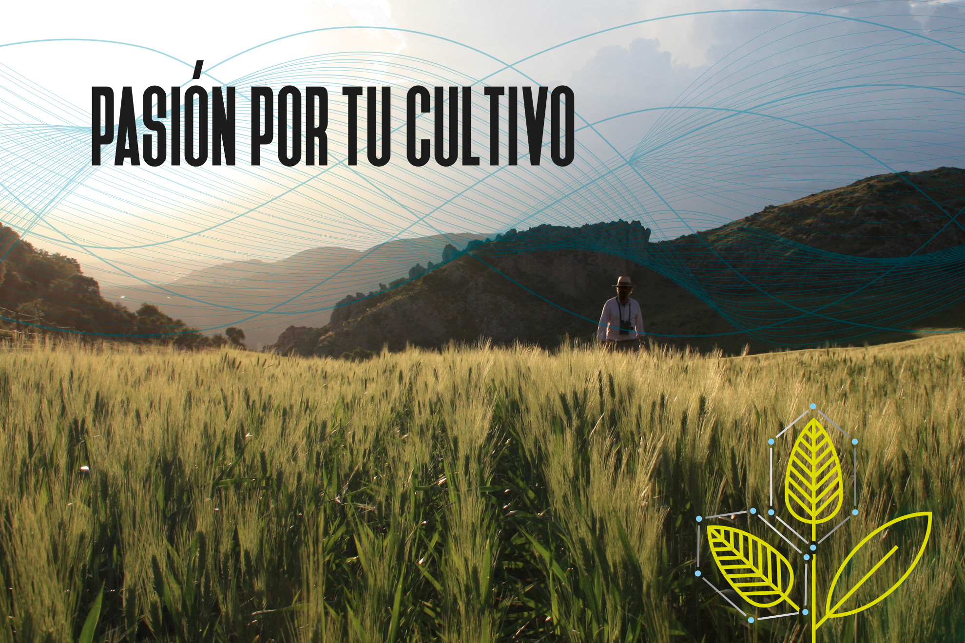 Nonus 90 brand ¡Finito finito! naturgreen branding digital