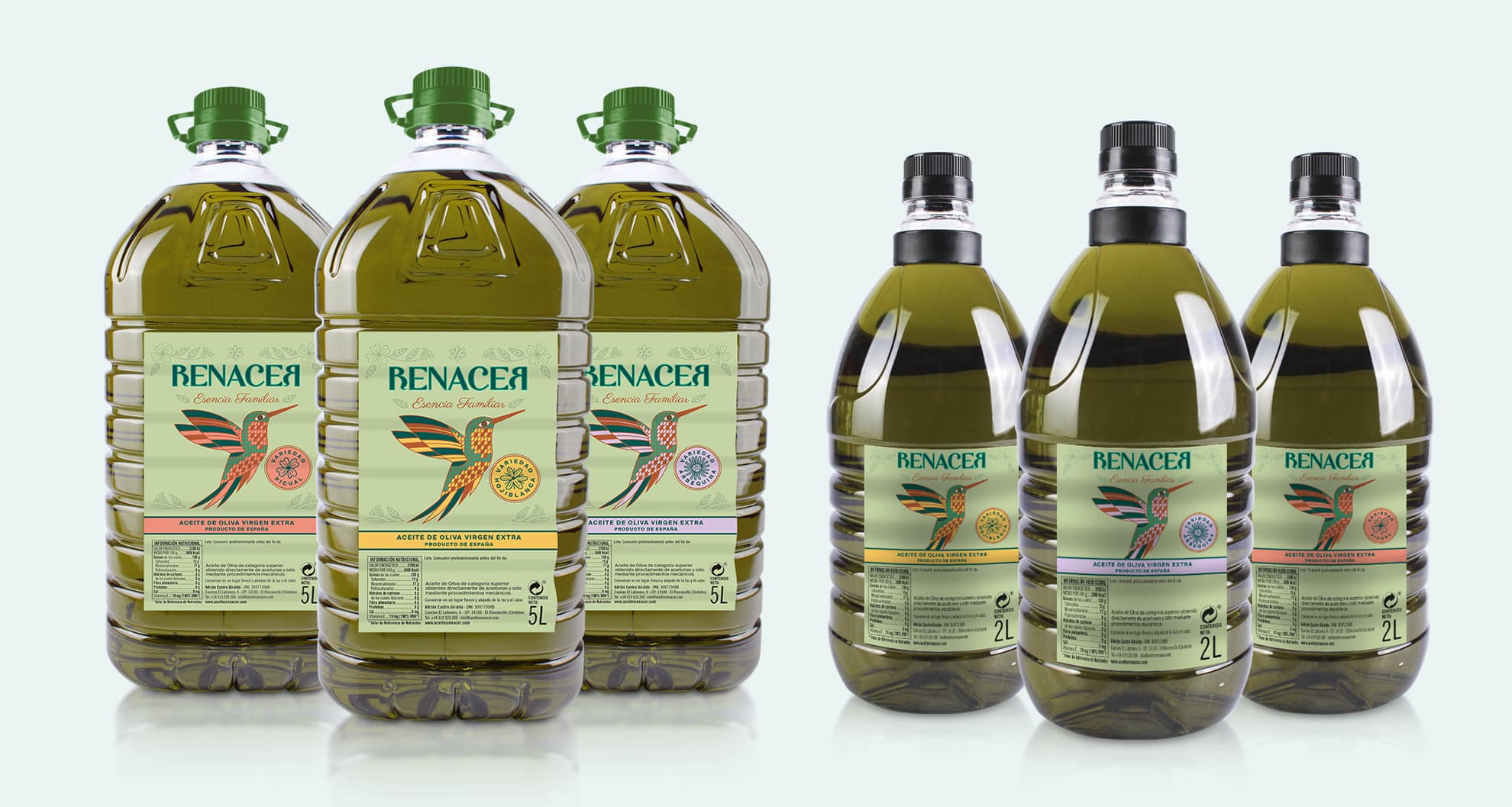 Renacer aove design Renacer aove design