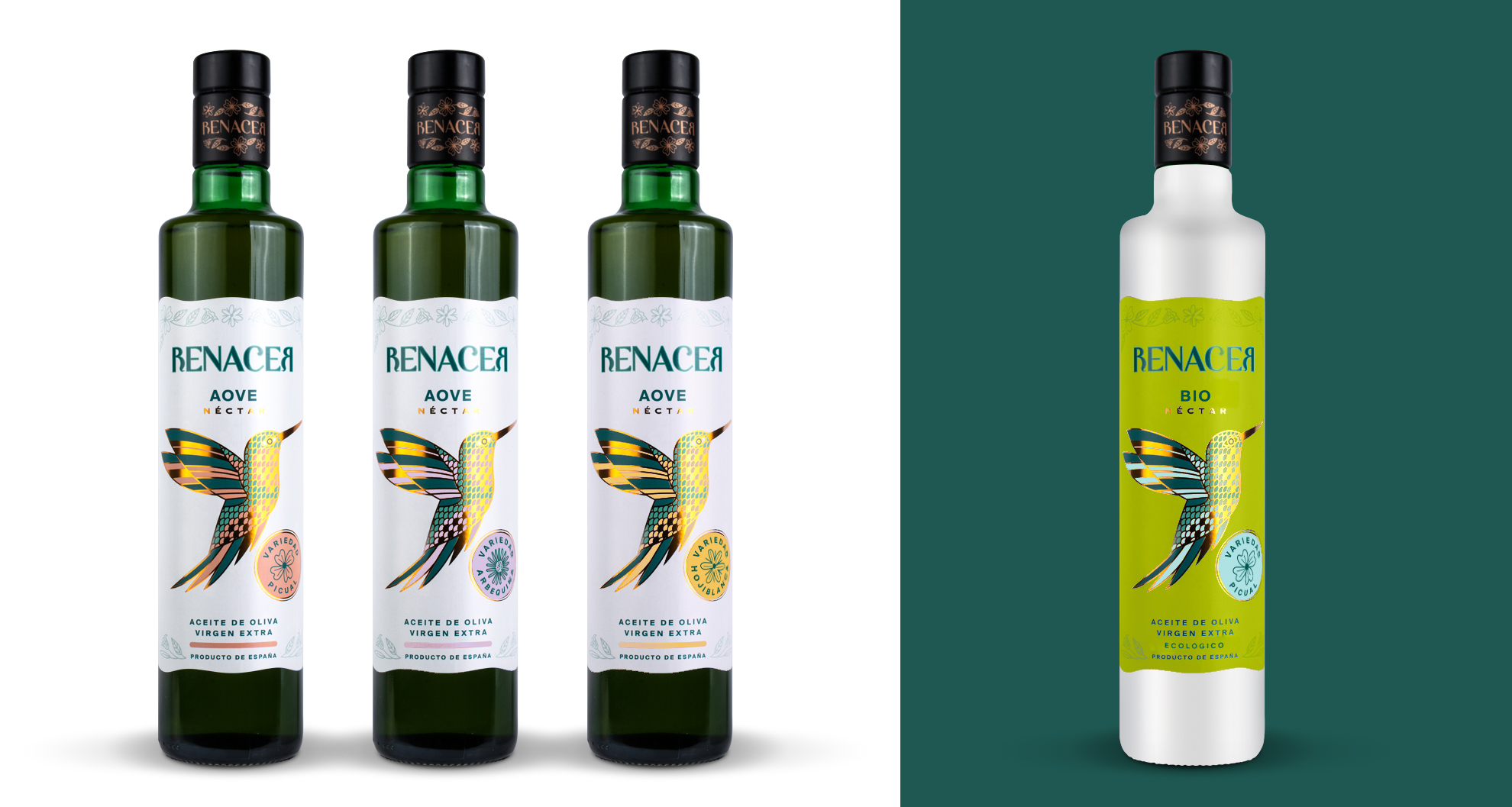 Diseño de branding y packaging para aceite cordoba. Diseñadores de branding y packaging Cordoba Renacer aove design