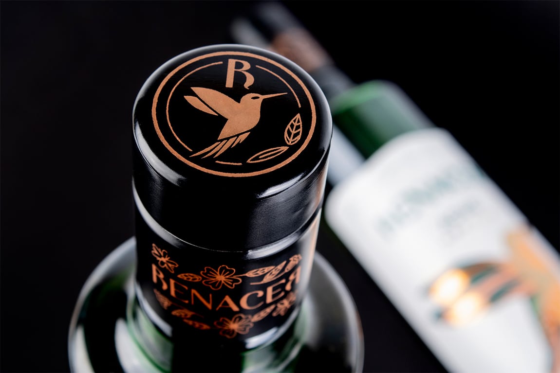 Renacer aove design